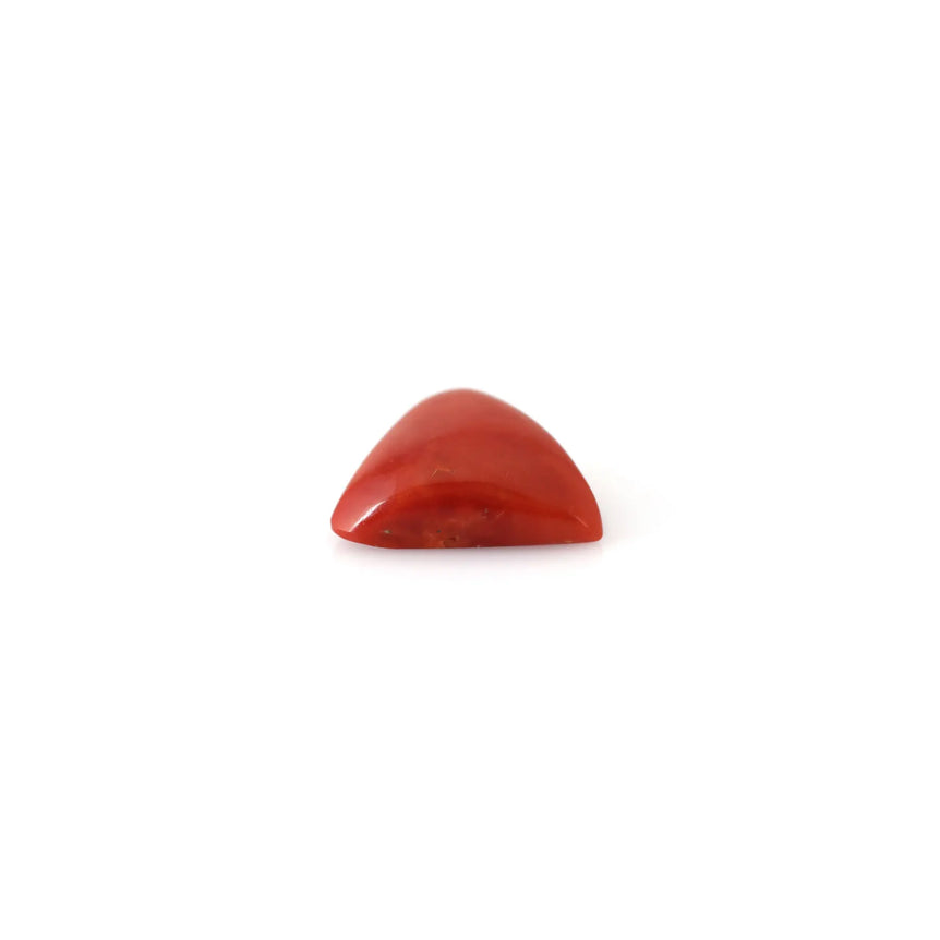 Red Coral - 13.85 Carat - Pramogh