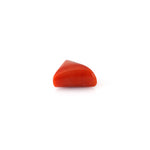 Red Coral - 14 Carat - Pramogh