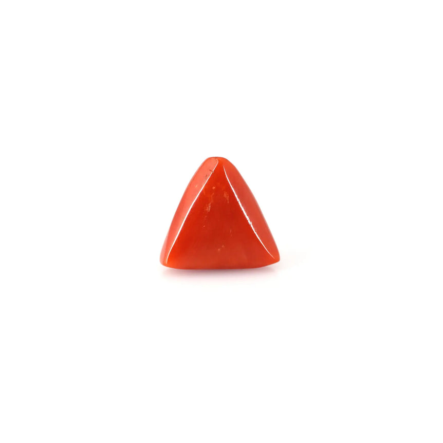 Red Coral - 15 Carat - Pramogh