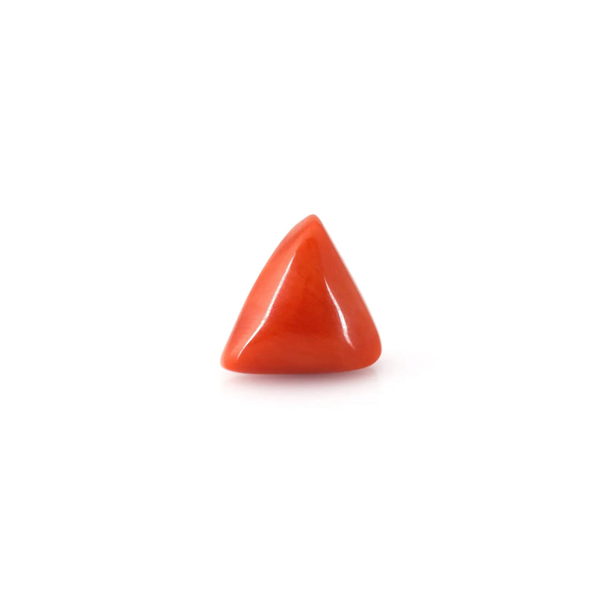 Red Coral - 12.1 Carat - Pramogh