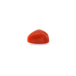 Red Coral - 12.1 Carat - Pramogh