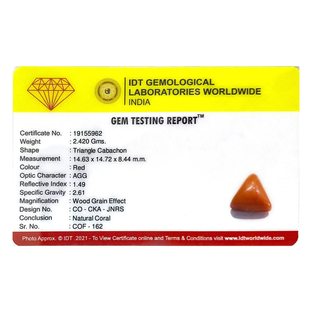 Red Coral - 12.1 Carat - Pramogh
