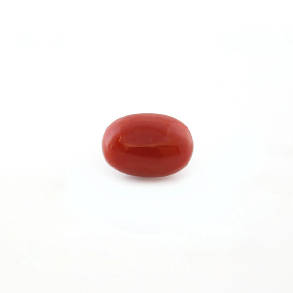 Red Coral - 5.22 Carat