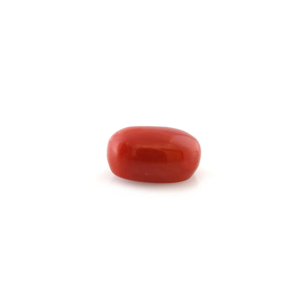 Red Coral - 5.22 Carat