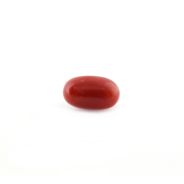 Red Coral - 5.2 Carat