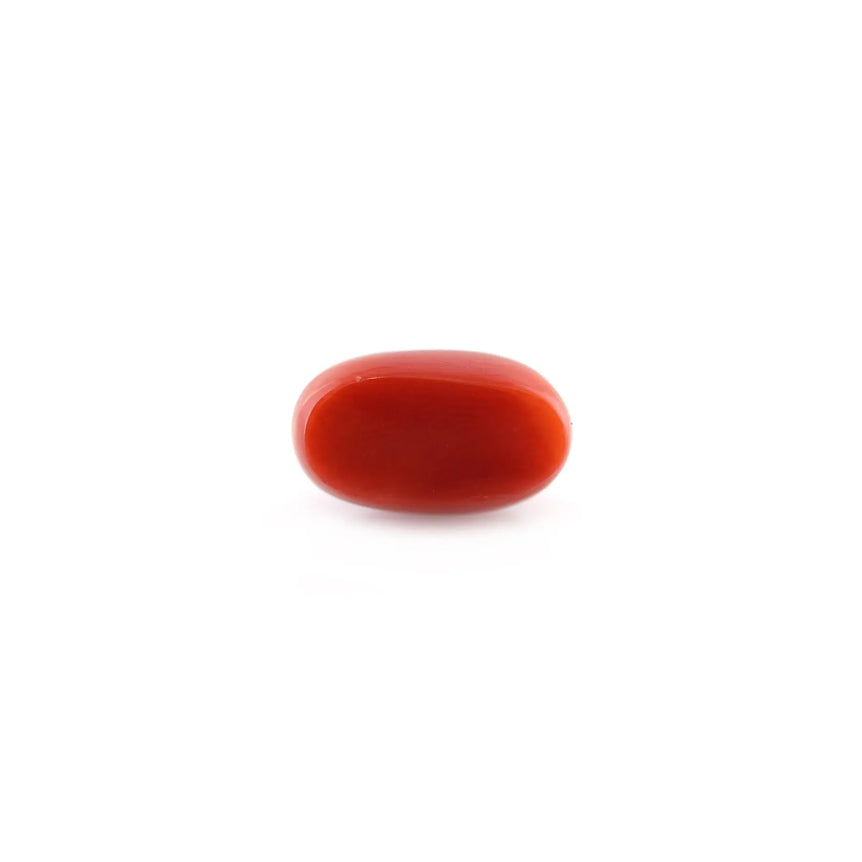Red Coral - 5.2 Carat - Pramogh