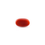 Red Coral - 5.2 Carat - Pramogh