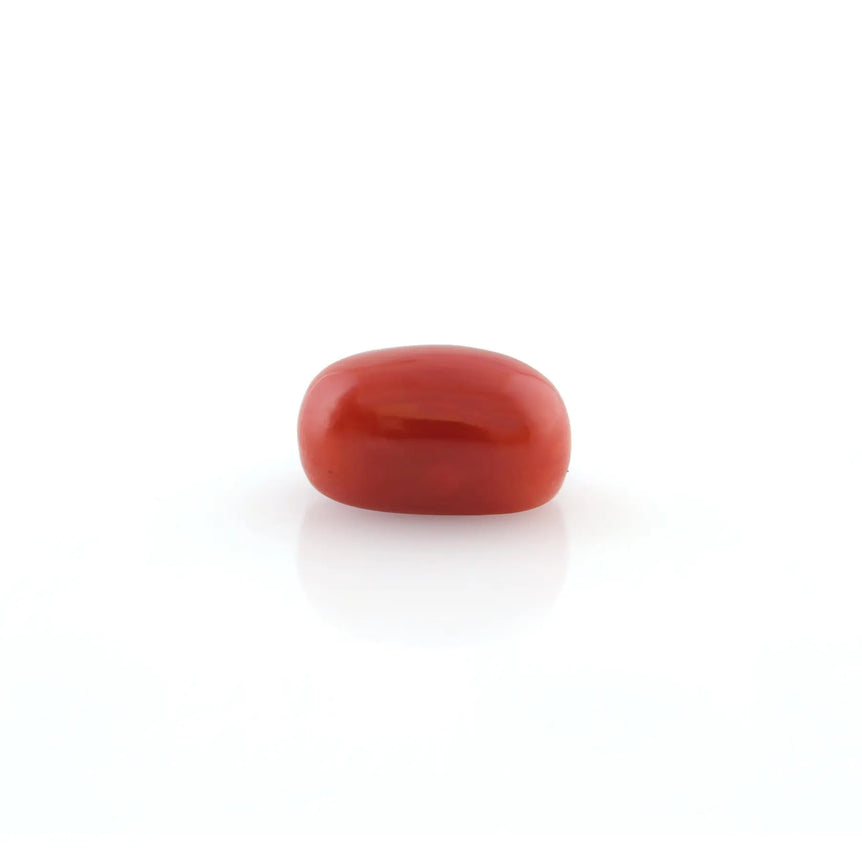 Red Coral - 5.2 Carat - Pramogh