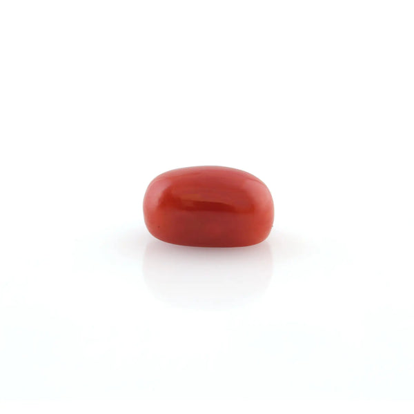 Red Coral - 5.2 Carat