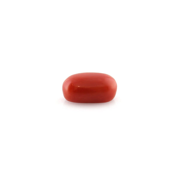 Red Coral - 4.9 Carat