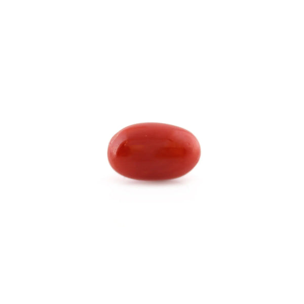 Red Coral - 5.3 Carat - Pramogh