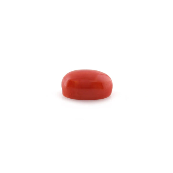 Red Coral - 5.3 Carat - Pramogh