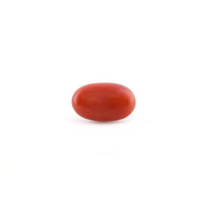 Red Coral - 5.25 Carat - Pramogh