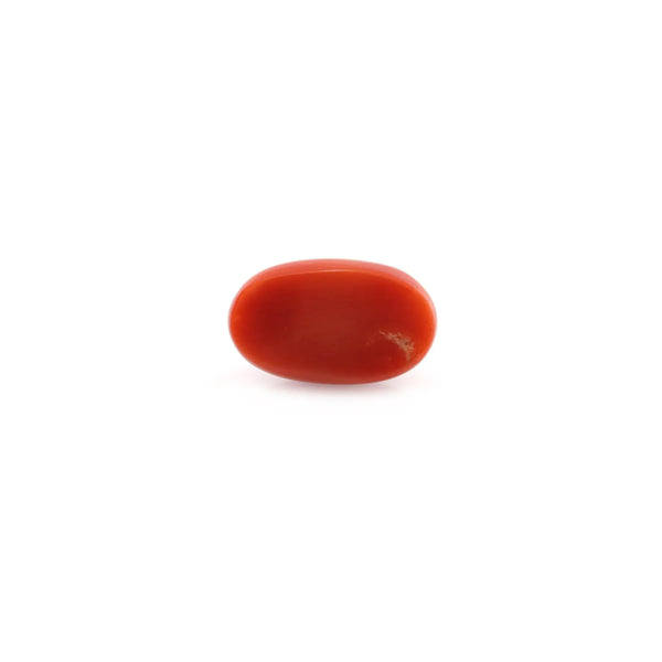 Red Coral - 5.25 Carat - Pramogh