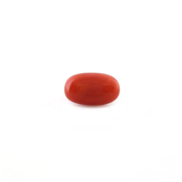 Red Coral - 5.2 Carat - Pramogh