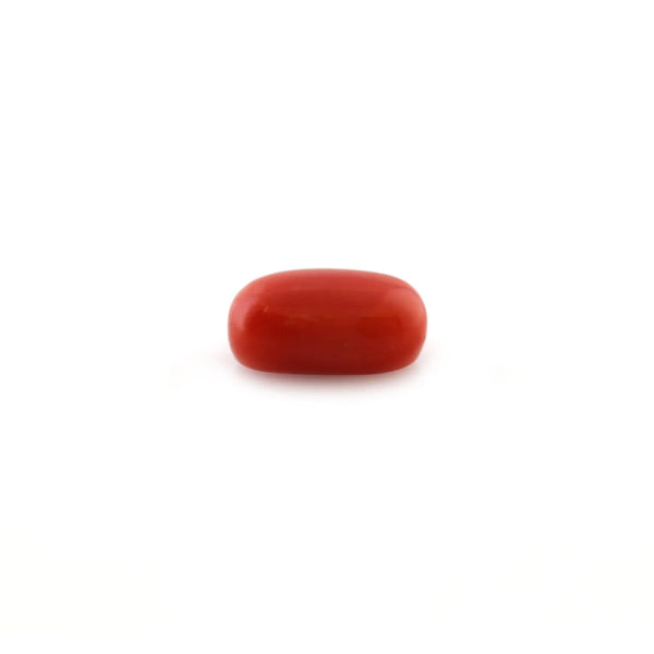 Red Coral - 5.2 Carat - Pramogh