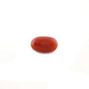 Red Coral - 4.9 Carat - Pramogh