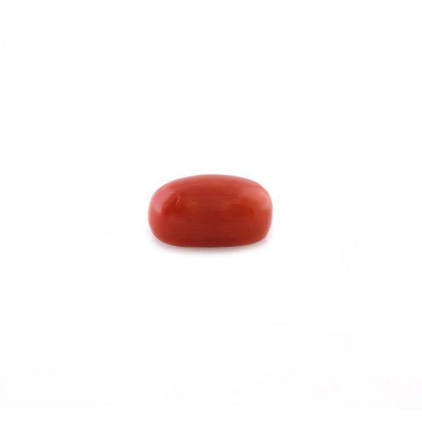 Red Coral - 4.9 Carat - Pramogh
