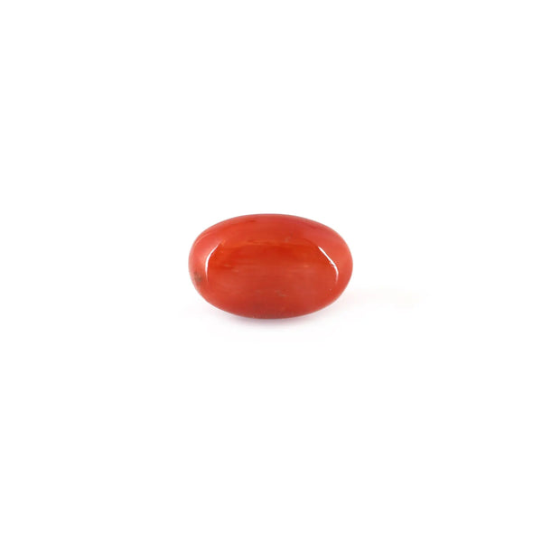 Red Coral - 5.25 Carat - Pramogh