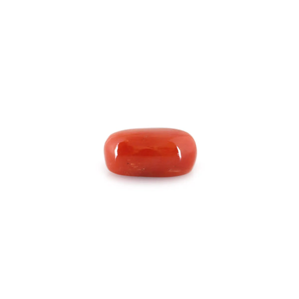 Red Coral - 5.25 Carat - Pramogh