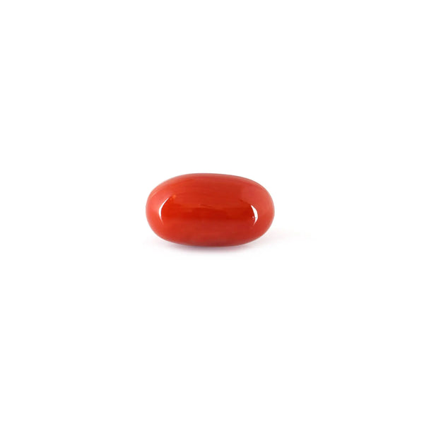 Red Coral - 4.98 Carat - Pramogh