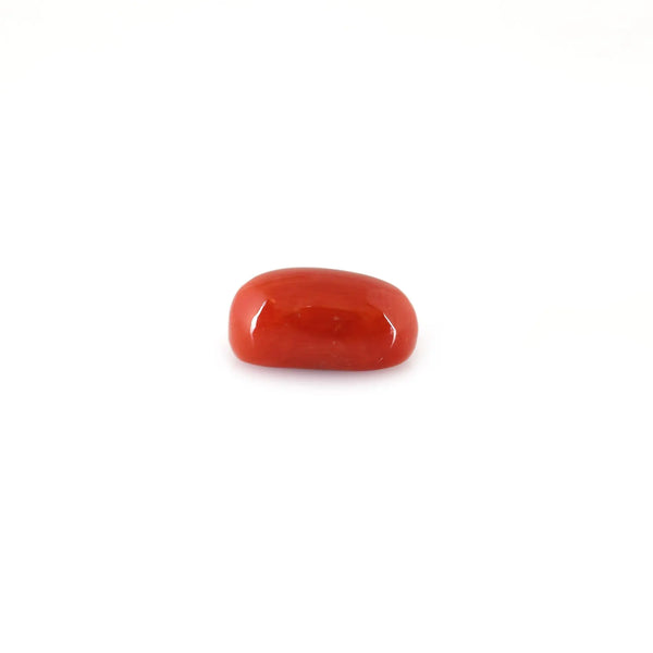 Red Coral - 4.98 Carat - Pramogh