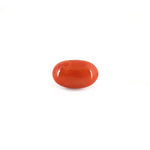 Red Coral - 4.88 Carat - Pramogh