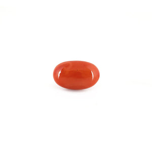 Red Coral - 4.88 Carat - Pramogh