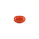 Red Coral - 4.88 Carat - Pramogh