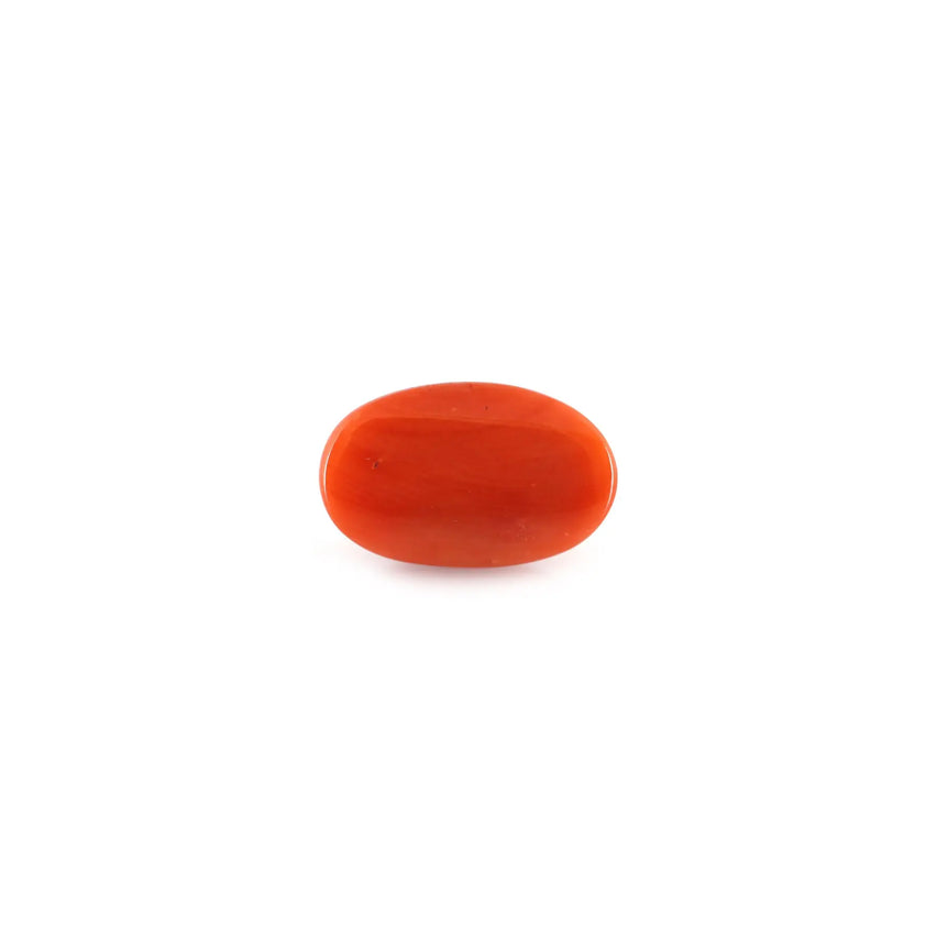 Red Coral - 4.88 Carat - Pramogh