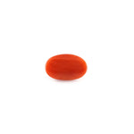 Red Coral - 4.88 Carat - Pramogh