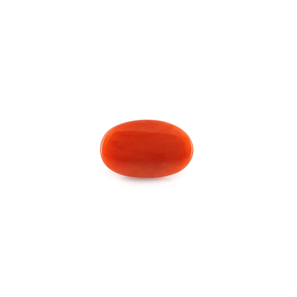 Red Coral - 4.88 Carat - Pramogh