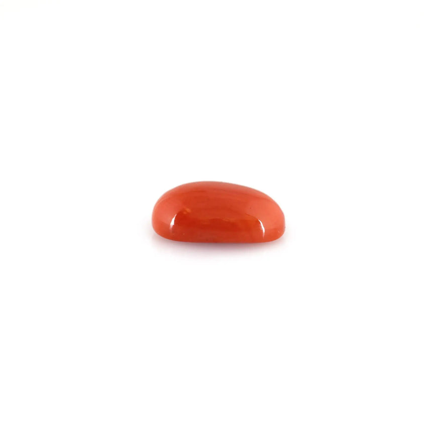 Red Coral - 4.88 Carat - Pramogh