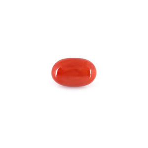 Red Coral - 4.93 Carat - Pramogh