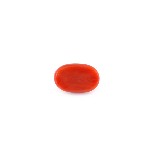 Red Coral - 4.93 Carat - Pramogh
