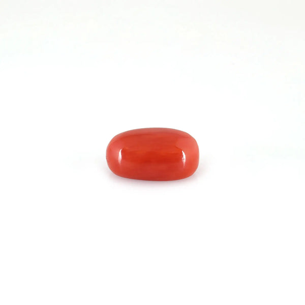 Red Coral - 4.93 Carat - Pramogh