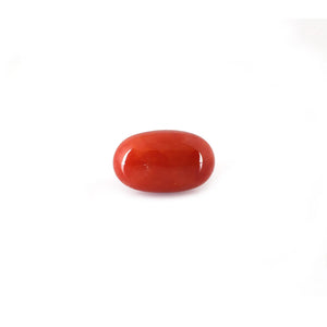 Red Coral - 5.62 Carat - Pramogh