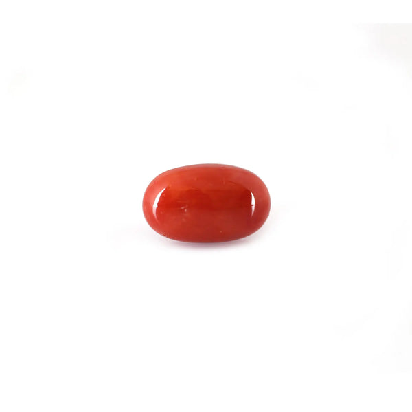 Red Coral - 5.62 Carat - Pramogh