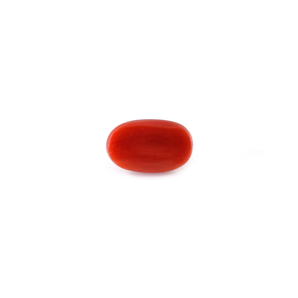 Red Coral - 5.62 Carat - Pramogh