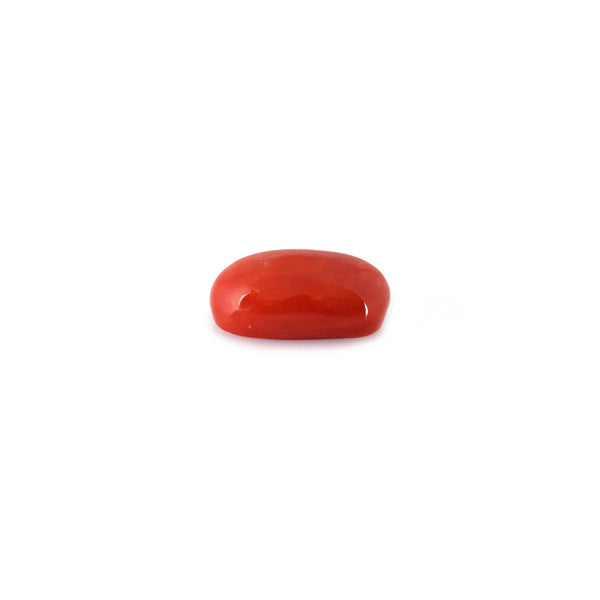 Red Coral - 5.62 Carat - Pramogh