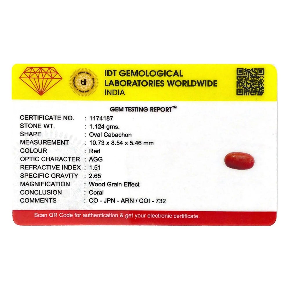 Red Coral - 5.62 Carat - Pramogh