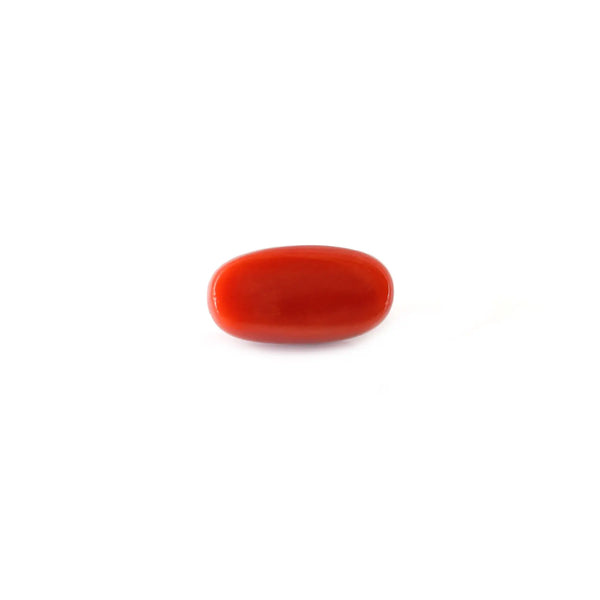 Red Coral - 5.5 Carat