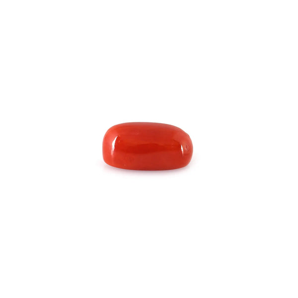 Red Coral - 5.5 Carat