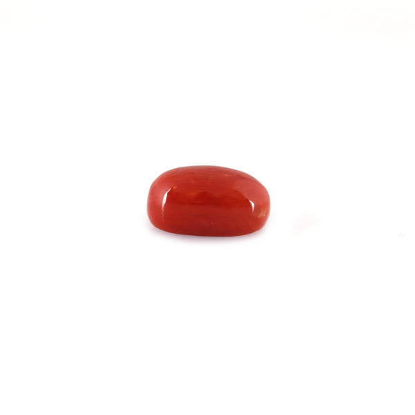 Red Coral - 5.45 Carat