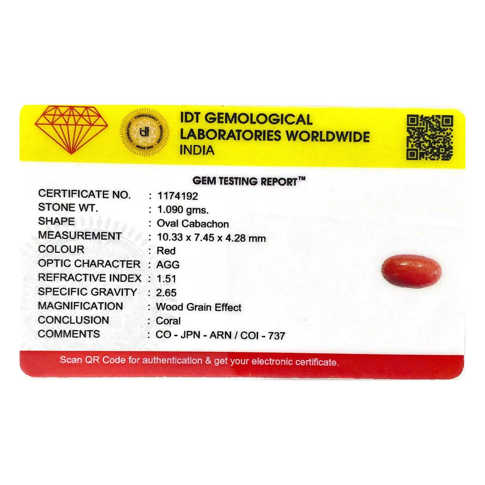 Red Coral - 5.45 Carat - Pramogh