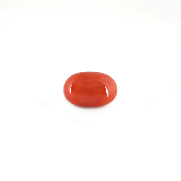 Red Coral - 5.17 Carat