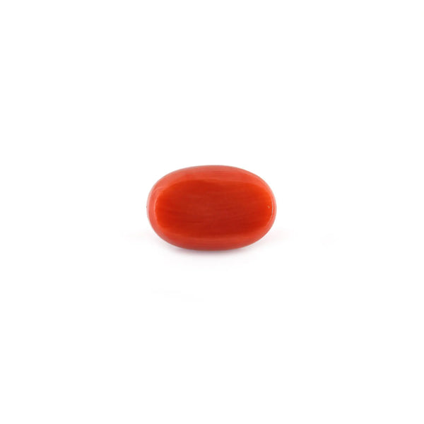 Red Coral - 5.17 Carat