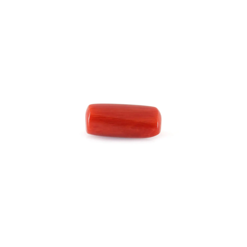 Red Coral - 4.8 Carat - Pramogh