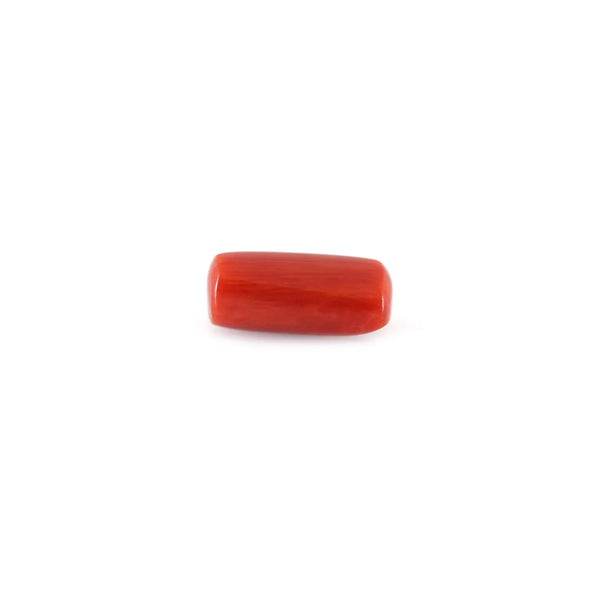 Red Coral - 4.8 Carat