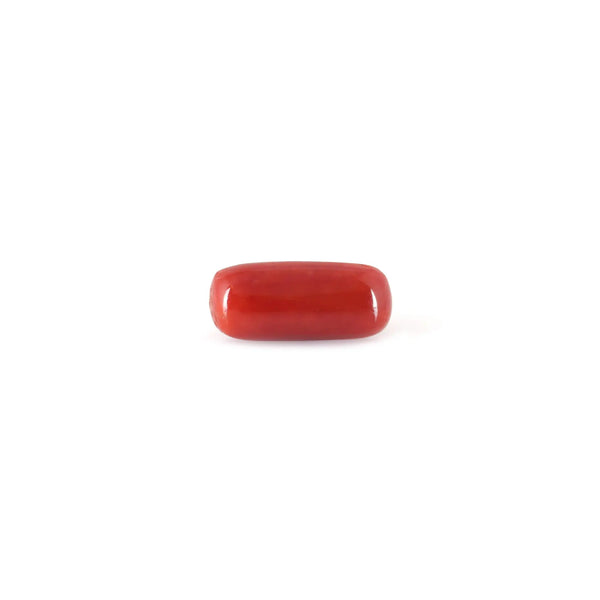 Red Coral - 5.25 Carat